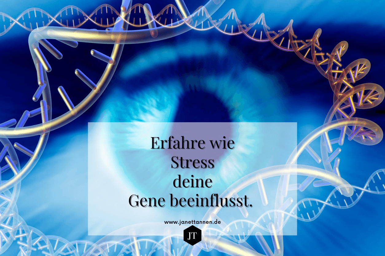 DNA - Erfahre wie Stress die Gene beeinflusst